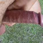 csipkefan 1. sorozata - 2. kép