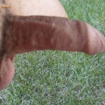 csipkefan 1. sorozata - 3. kép