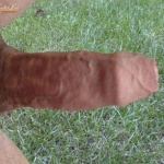 csipkefan 1. sorozata - 4. kép