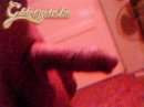 luigi76 2. sorozata - 4. kép