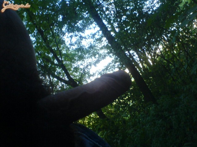 tiger100 2. sorozata - 13. kép