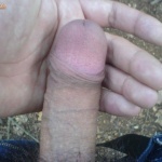 tiger100 2. sorozata - 12. kép