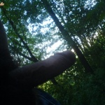 tiger100 2. sorozata - 15. kép