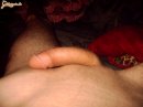 Pittpull 2. sorozata - 5. kép