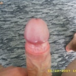 bazsa4 1. sorozata - 4. kép