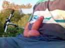GoldenGate-archív 2464. sorozata - 6. kép