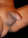 johnnydick 1. sorozata - 1. kép