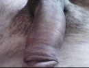Bull21 1. sorozata