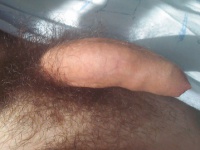 A farkam