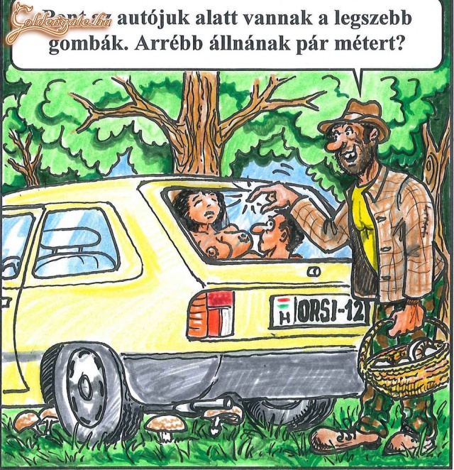 Kicsit pofátlan :D