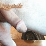 mongos 1. sorozata - 3. kép