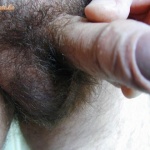 nyulfeka 3. sorozata - 3. kép