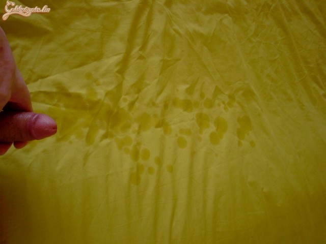 Feisz_Gábor 4. sorozata - 33. kép