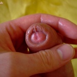 Feisz_Gábor 4. sorozata - 34. kép