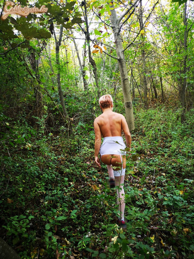 Az őszi erdei tündér - 44. kép