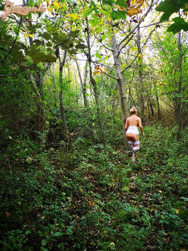 Az őszi erdei tündér - 46. kép