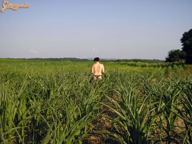 Shameless 10. sorozata - 14. kép