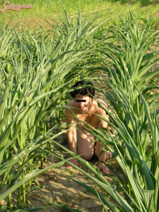 Shameless 10. sorozata - 17. kép