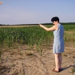 Shameless 10. sorozata - 1. kép