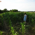 Shameless 10. sorozata - 2. kép