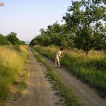 Shameless 11. sorozata - 29. kép