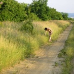 Shameless 11. sorozata - 31. kép