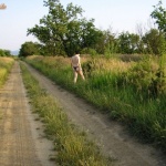 Shameless 11. sorozata - 37. kép