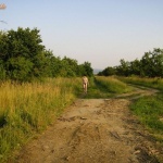 Shameless 11. sorozata - 45. kép