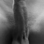 Alonzoo 1. sorozata - 2. kép