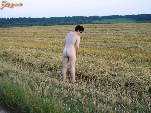 Shameless 12. sorozata - 14. kép