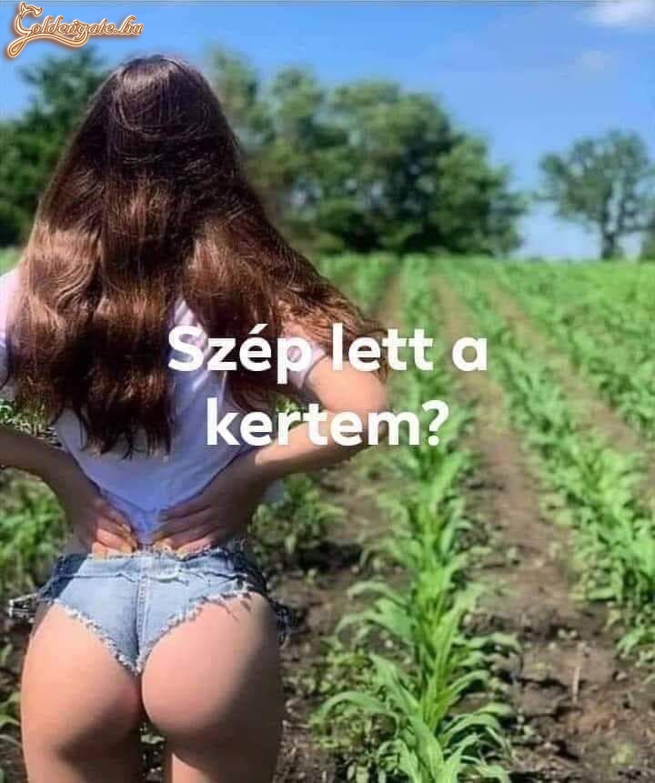 Nem rossz kilátás a szezonra