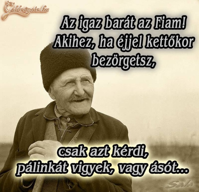 Régi bölcs