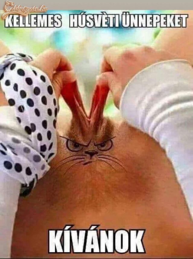 Kellemest Mindenkinek!