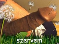 carrot 8. sorozata