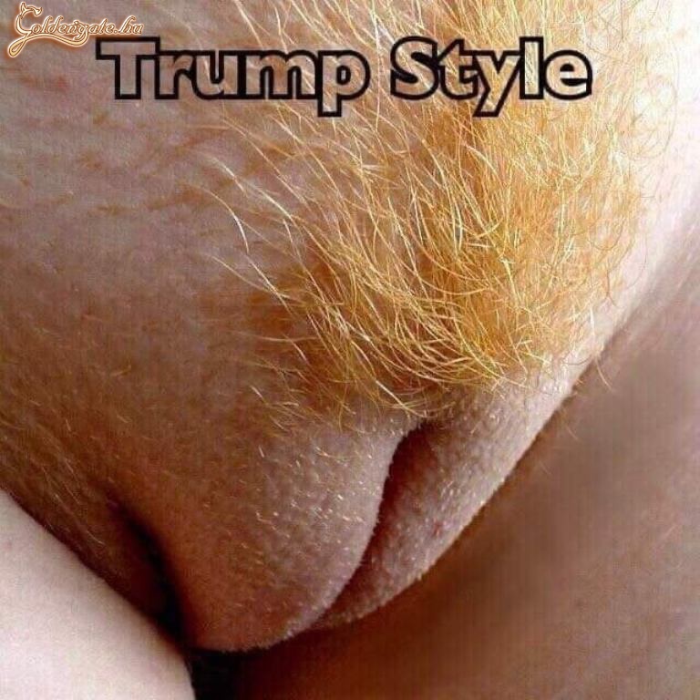 Trump stilus