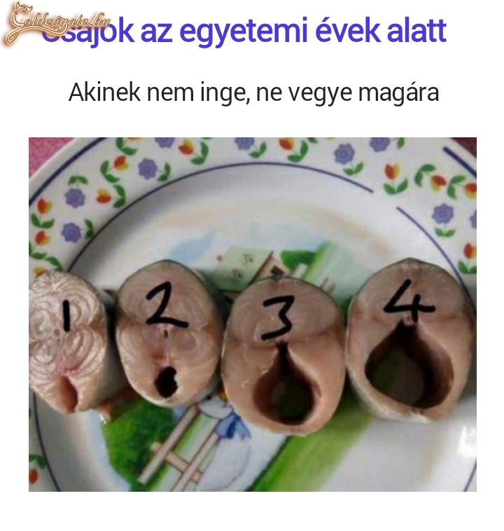 Csajok egyetemi évek alatt