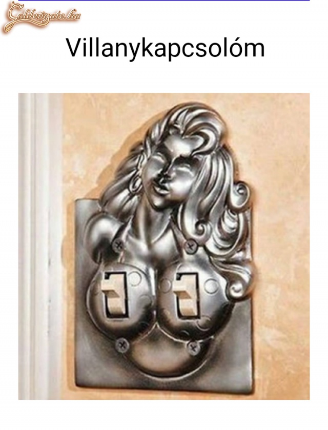 Villanykapcsolóm
