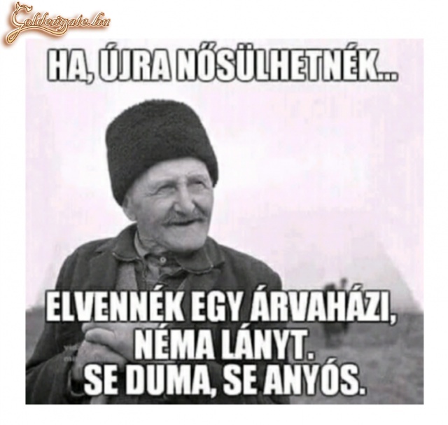 Ha újra nősülhetnék