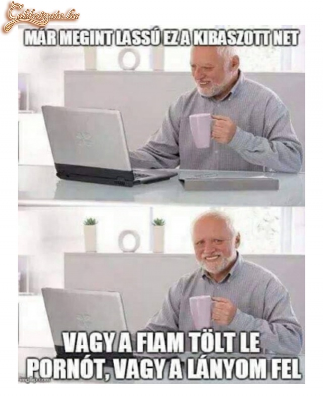 Lassú net