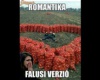 Falusi romantika