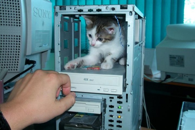 Néha elkel a szakértõi segítség