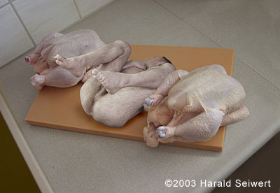 Melyik a kakukktojás?