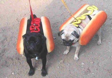 Hotdog :)