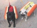 Hotdog :)