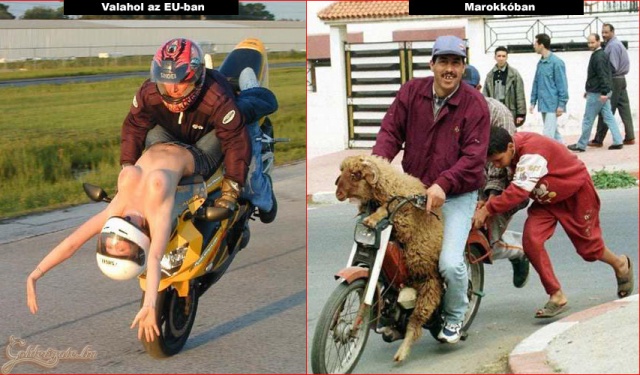 Kultúrális különbségek... :)