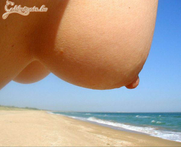 Kilátás a tengerpartra