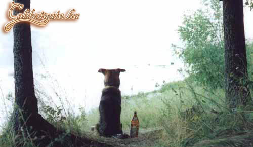 Szar az élet bazeg...