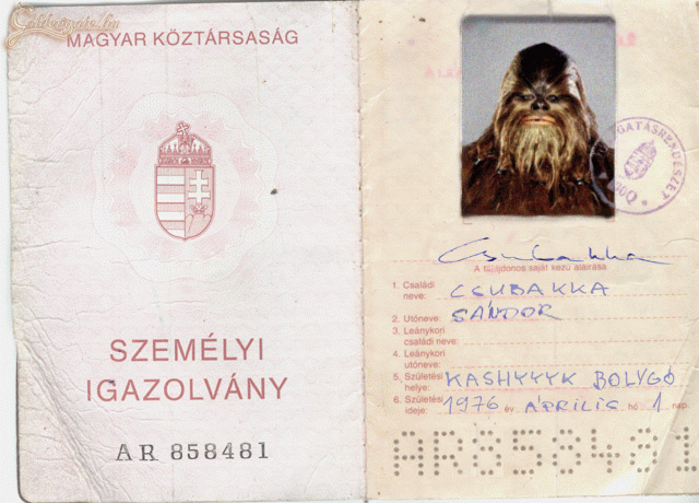 Tudtátok, hogy magyar?