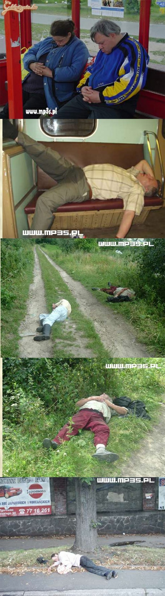 Mint láthatjuk Lengyelországban is sokakat levesz a lábukról a tavaszi fáradtság.