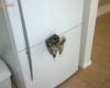 A kedvenc hűtőmágnesünk :)